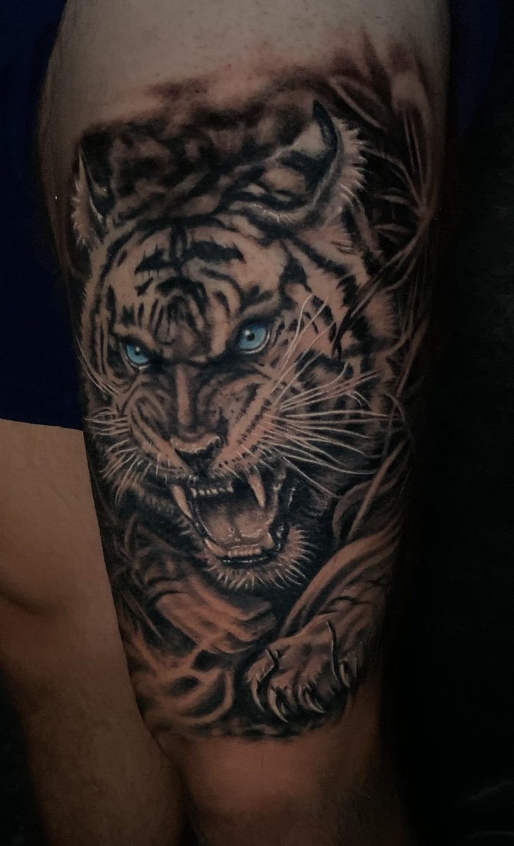 Black and gray realism snarling white tiger with blue eyes thigh tattoo by Zack Ross, large scale tattoo artist Kyle TX near Austin Texas